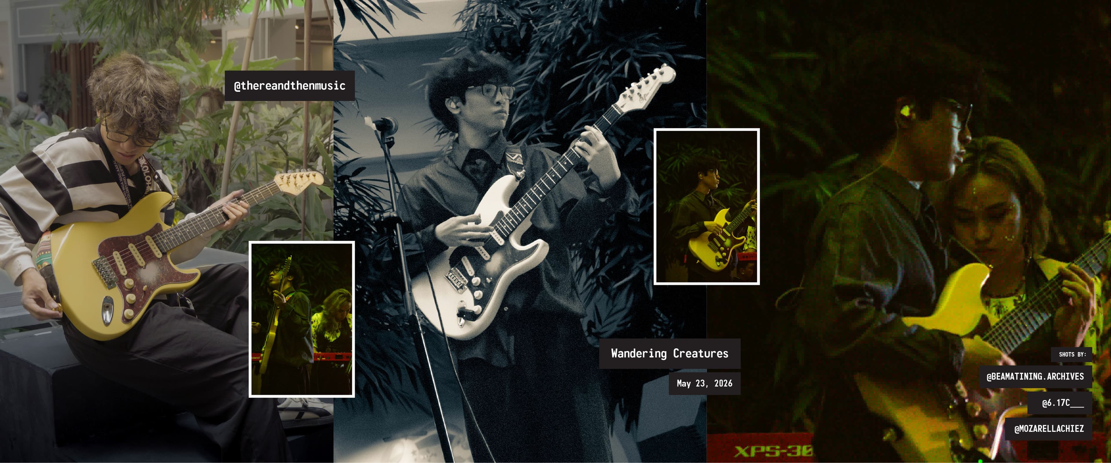Caught Wandering Again (Photo Spreads) asset 5